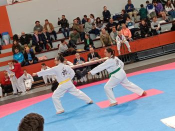 Championnat de Belgique Poomsae 2026